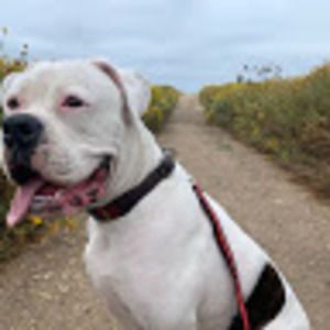 Meet your Posher, Suy